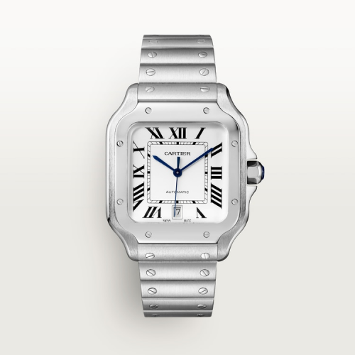 Cartier Santos Steel White WSSA0018 (2023)